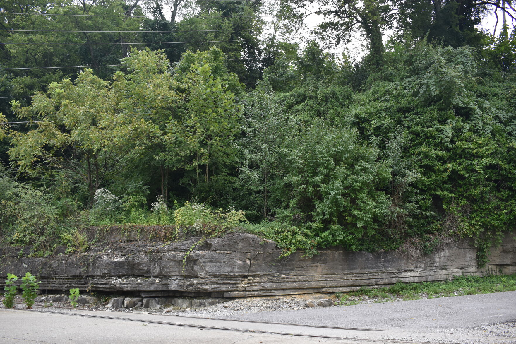 Trailhead